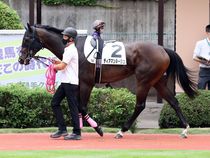 ����å��ǳ��������ɽ�����ޤ�