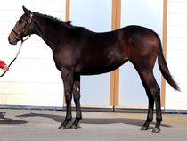 ����å��ǳ��������ɽ�����ޤ�