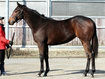 ����å��ǳ��������ɽ�����ޤ�