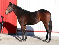 ����å��ǳ��������ɽ�����ޤ�