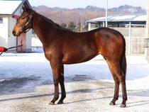 ����å��ǳ��������ɽ�����ޤ�