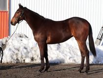 ����å��ǳ��������ɽ�����ޤ�