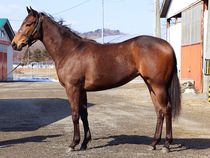 ����å��ǳ��������ɽ�����ޤ�