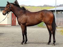 ����å��ǳ��������ɽ�����ޤ�