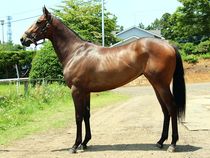 ����å��ǳ��������ɽ�����ޤ�