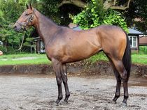 ����å��ǳ��������ɽ�����ޤ�