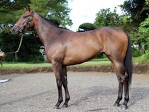 ����å��ǳ��������ɽ�����ޤ�