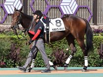 ����å��ǳ��������ɽ�����ޤ�