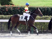 ����å��ǳ��������ɽ�����ޤ�