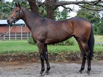 ����å��ǳ��������ɽ�����ޤ�