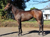 ����å��ǳ��������ɽ�����ޤ�