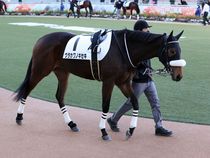 ����å��ǳ��������ɽ�����ޤ�