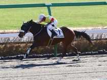 ����å��ǳ��������ɽ�����ޤ�