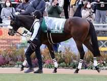 ����å��ǳ��������ɽ�����ޤ�