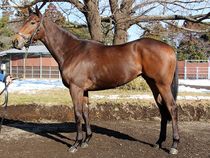 ����å��ǳ��������ɽ�����ޤ�