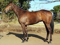 ����å��ǳ��������ɽ�����ޤ�