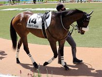 ����å��ǳ��������ɽ�����ޤ�