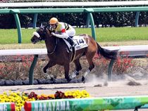 ����å��ǳ��������ɽ�����ޤ�