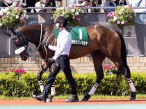 ����å��ǳ��������ɽ�����ޤ�