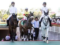 ����å��ǳ��������ɽ�����ޤ�