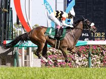 ����å��ǳ��������ɽ�����ޤ�