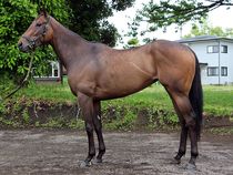 ����å��ǳ��������ɽ�����ޤ�