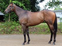 ����å��ǳ��������ɽ�����ޤ�