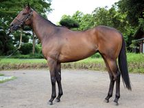 ����å��ǳ��������ɽ�����ޤ�