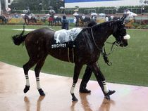 ����å��ǳ��������ɽ�����ޤ�