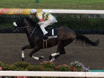 ����å��ǳ��������ɽ�����ޤ�