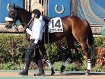 ����å��ǳ��������ɽ�����ޤ�