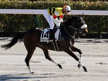 ����å��ǳ��������ɽ�����ޤ�