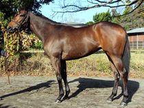 ����å��ǳ��������ɽ�����ޤ�