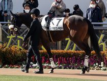 ����å��ǳ��������ɽ�����ޤ�