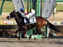 ����å��ǳ��������ɽ�����ޤ�