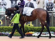 ����å��ǳ��������ɽ�����ޤ�