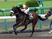 ����å��ǳ��������ɽ�����ޤ�