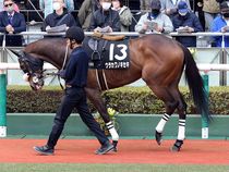 ����å��ǳ��������ɽ�����ޤ�