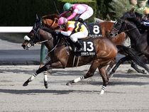 ����å��ǳ��������ɽ�����ޤ�