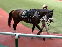 ����å��ǳ��������ɽ�����ޤ�