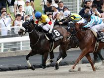 ����å��ǳ��������ɽ�����ޤ�