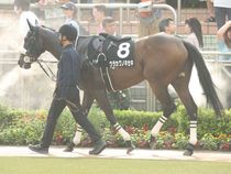 ����å��ǳ��������ɽ�����ޤ�