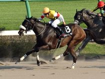 ����å��ǳ��������ɽ�����ޤ�