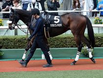 ����å��ǳ��������ɽ�����ޤ�