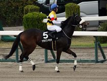 ����å��ǳ��������ɽ�����ޤ�