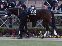 ����å��ǳ��������ɽ�����ޤ�