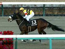 ����å��ǳ��������ɽ�����ޤ�