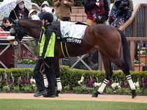 ����å��ǳ��������ɽ�����ޤ�