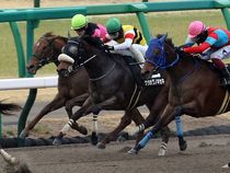 ����å��ǳ��������ɽ�����ޤ�