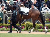 ����å��ǳ��������ɽ�����ޤ�